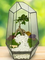 Бонсай в флорариуме Айсберг