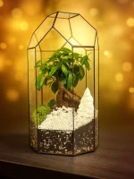 Бонсай в флорариуме Башня — изображение 5