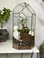 Бонсай в флорариуме Башня — изображение 6