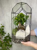 Бонсай в флорариуме Башня — изображение 8