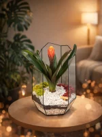 Гузмания в флорариуме осколок