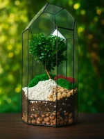 Африканский мирт (мирсина) в флорариуме Башня — изображение 3