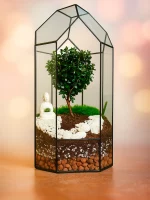 Африканский мирт (мирсина) в флорариуме Башня