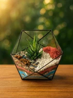 Хавортия с тремя суккулентами в флорариуме икосаэдр S (Small, маленький)