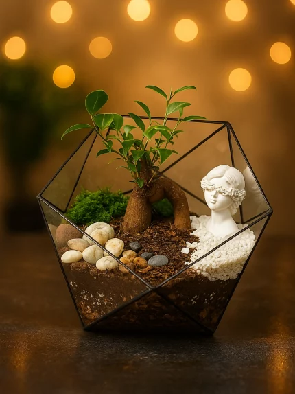 Бонсай микрокарпа гинсенг в флорариуме икосаэдр L (Large, большой)