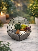 Кактус в флорариуме шар S