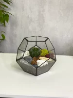 Кактус в флорариуме шар S