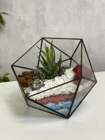 Хавортия с тремя суккулентами в флорариуме икосаэдр S (Small, маленький)