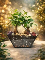 два бонсая микрокарпа в флорариуме сердце