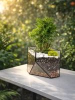 Бонсай фрутикоза в флорариуме скошенный квадрат L