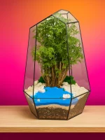 Бонсай фрутикоза полисциас в Айсберге 45*30 см — изображение 4