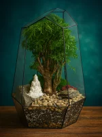 Бонсай фрутикоза полисциас в Айсберге 45*30 см