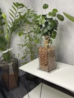 Бонсай фабиан полисциас в флорариуме пятиугольник L