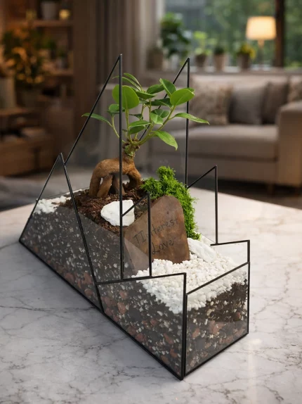 Дерево любви бонсай в флорариуме горы