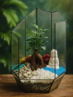 Бонсай микрокарпа гинсенг в флорариуме осколок