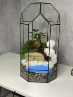 Дерево любви бонсай микрокарпа в флорариуме башня