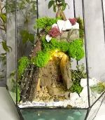 Флорариум Айсберг с бонсаем, пещерой, водоёмом и подсветкой