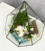 флорариум с искусственным водоёмом и хавортией капелька м