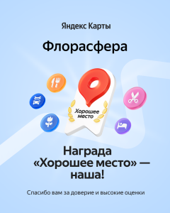Хорошее место. Награда от компании ЯНДЕКС