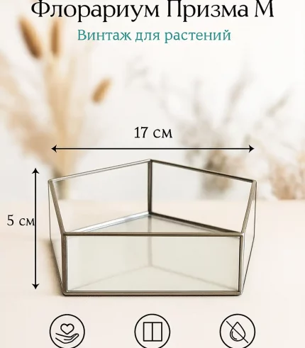 Флорариум Призма M из стекла с серебристым обрамлением