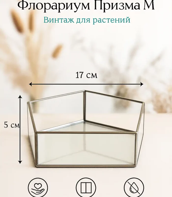 Флорариум Призма M из стекла с серебристым обрамлением