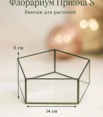 Флорариум Призма S стеклянный, диаметр 14 см, высота 5 см,