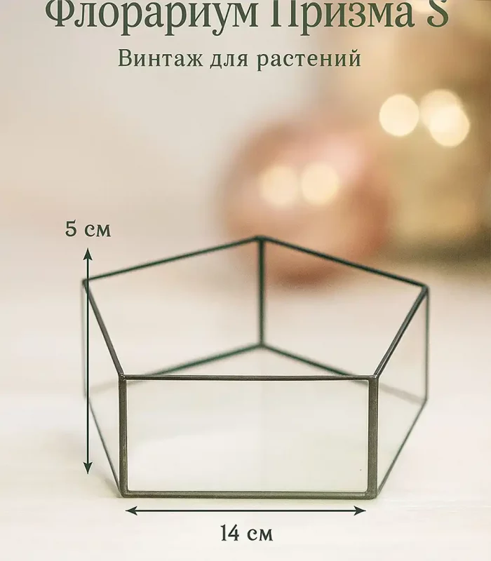 Флорариум Призма S стеклянный, диаметр 14 см, высота 5 см,