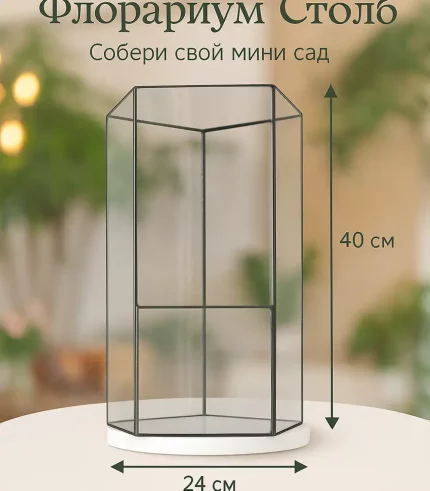 Флорариум "Столб" 24×40 см с природной композицией без ухода