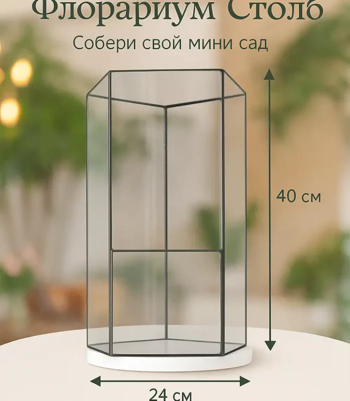 Флорариум "Столб" 24×40 см с природной композицией без ухода