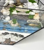 Бонсай Ретуза во флорариуме Скошенный квадрат L