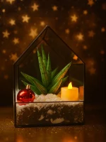 Флорариум Домик L с сансевиерией Стар — изображение 4