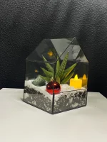 Флорариум Домик L с сансевиерией Стар — изображение 2