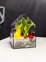 Флорариум Домик L с сансевиерией Голд — изображение 2