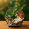 Хавортия с суккулентами в флорариуме икосаэдр S