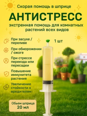 Антистресс