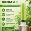 Хлорелла живая для комнатных растений