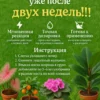 Антистресс
