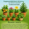 Антистресс