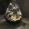 Суккуленты в флорариуме капелька S