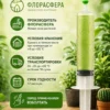 Хлорелла живая для комнатных растений