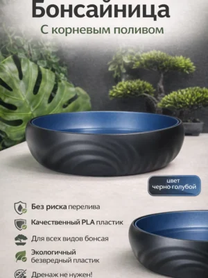 Бонсайница с корневым поливом черно голубая