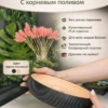 Бонсайница с корневым поливом черно бежевая