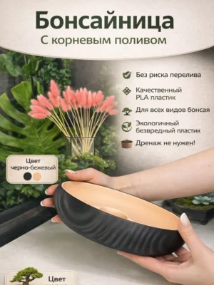Бонсайница с корневым поливом черно бежевая
