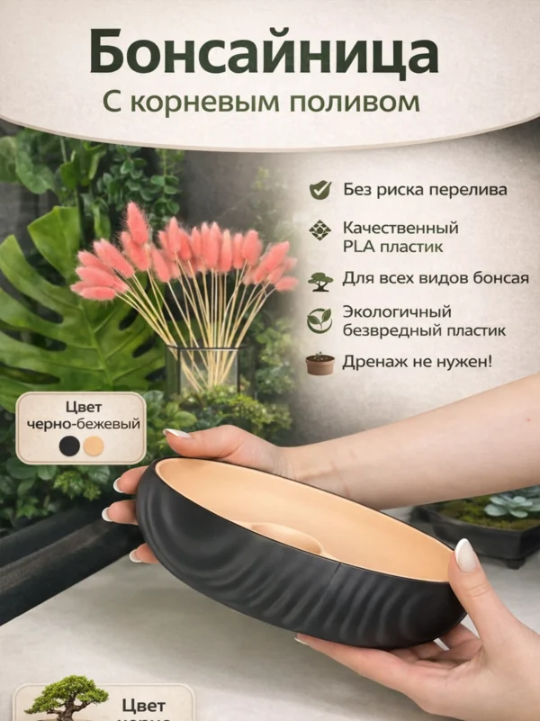 Бонсайница с корневым поливом черно бежевая