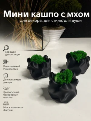Мини кашпо со мхом
