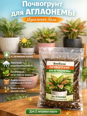 Почвогрунт для Аглаонемы для кашпо до 2л