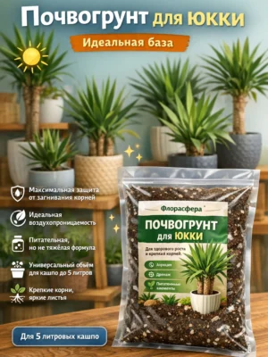 Почвогрунт для юкки для кашпо до 5л