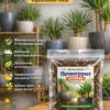 Почвогрунт для юкки для кашпо до 10л Почвогрунт для юкки для кашпо до 10л