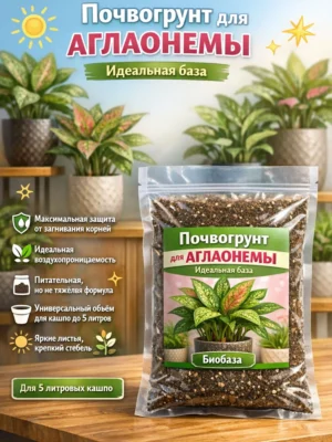 Почвогрунт для Аглаонемы для кашпо до 5л