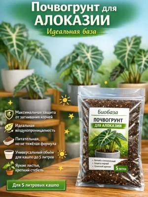 Почвогрунт для Алоказии для кашпо до 5л Почвогрунт для Алоказии для кашпо до 5л